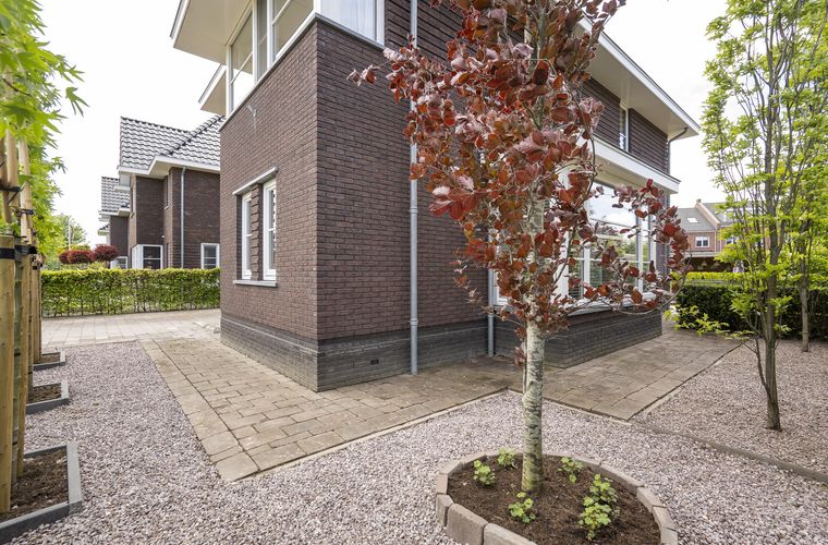 Afbeelding 51