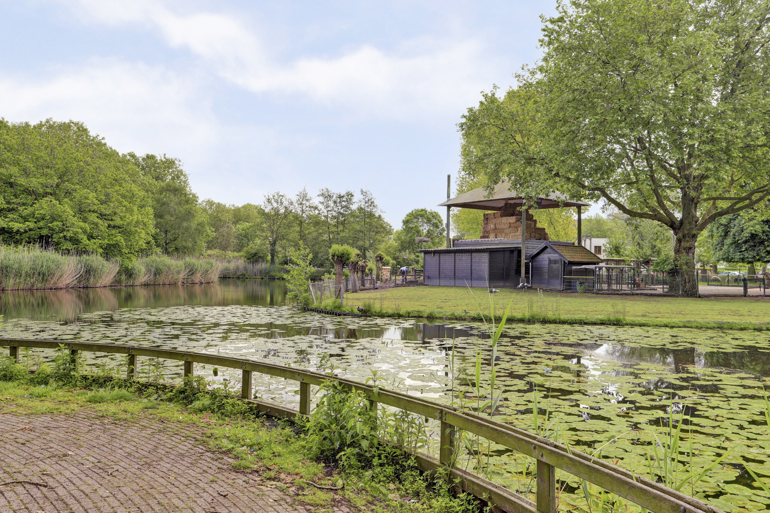 Van Goudoeverstraat 179, afbeelding 44