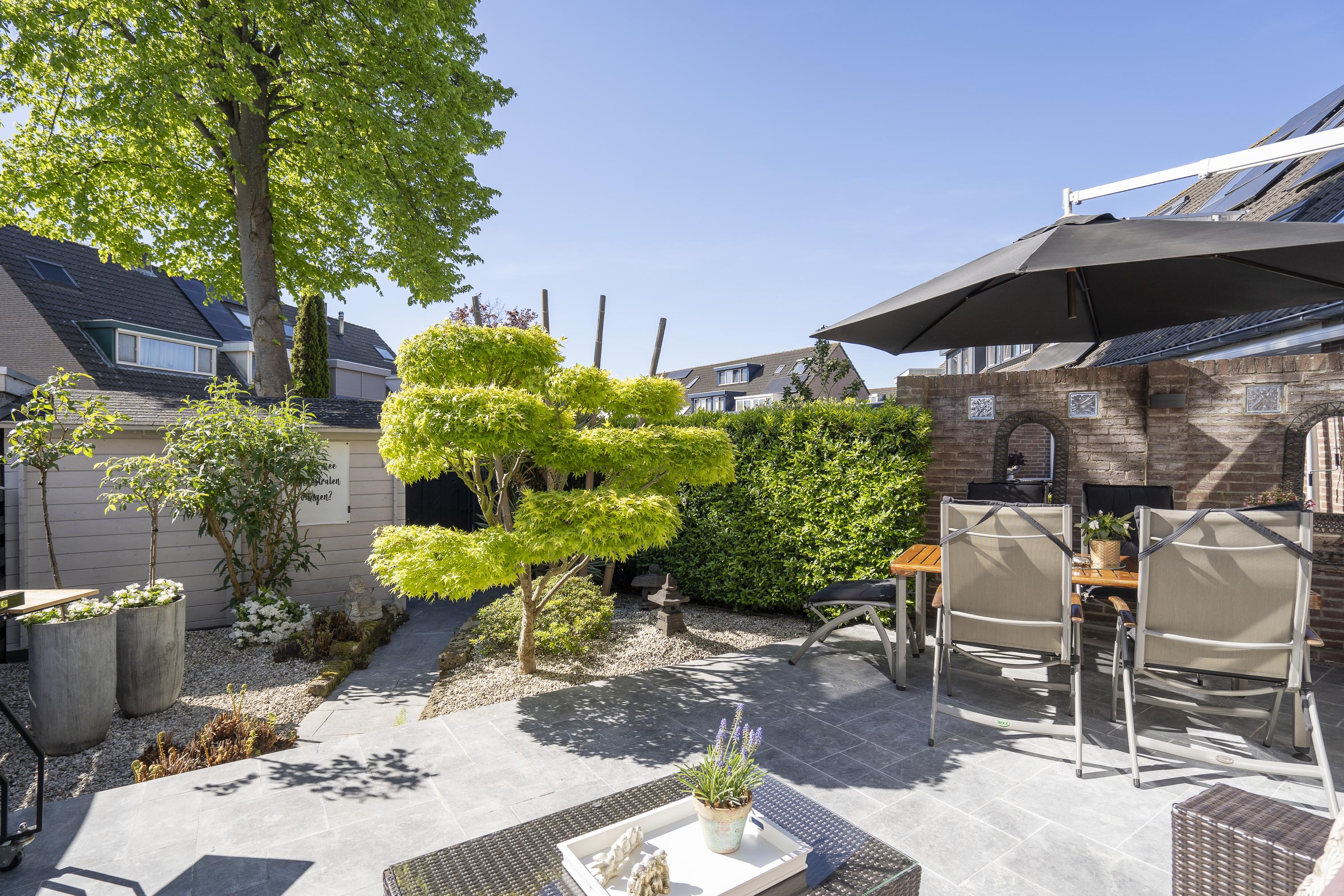 Elzenzoom 14, afbeelding 3