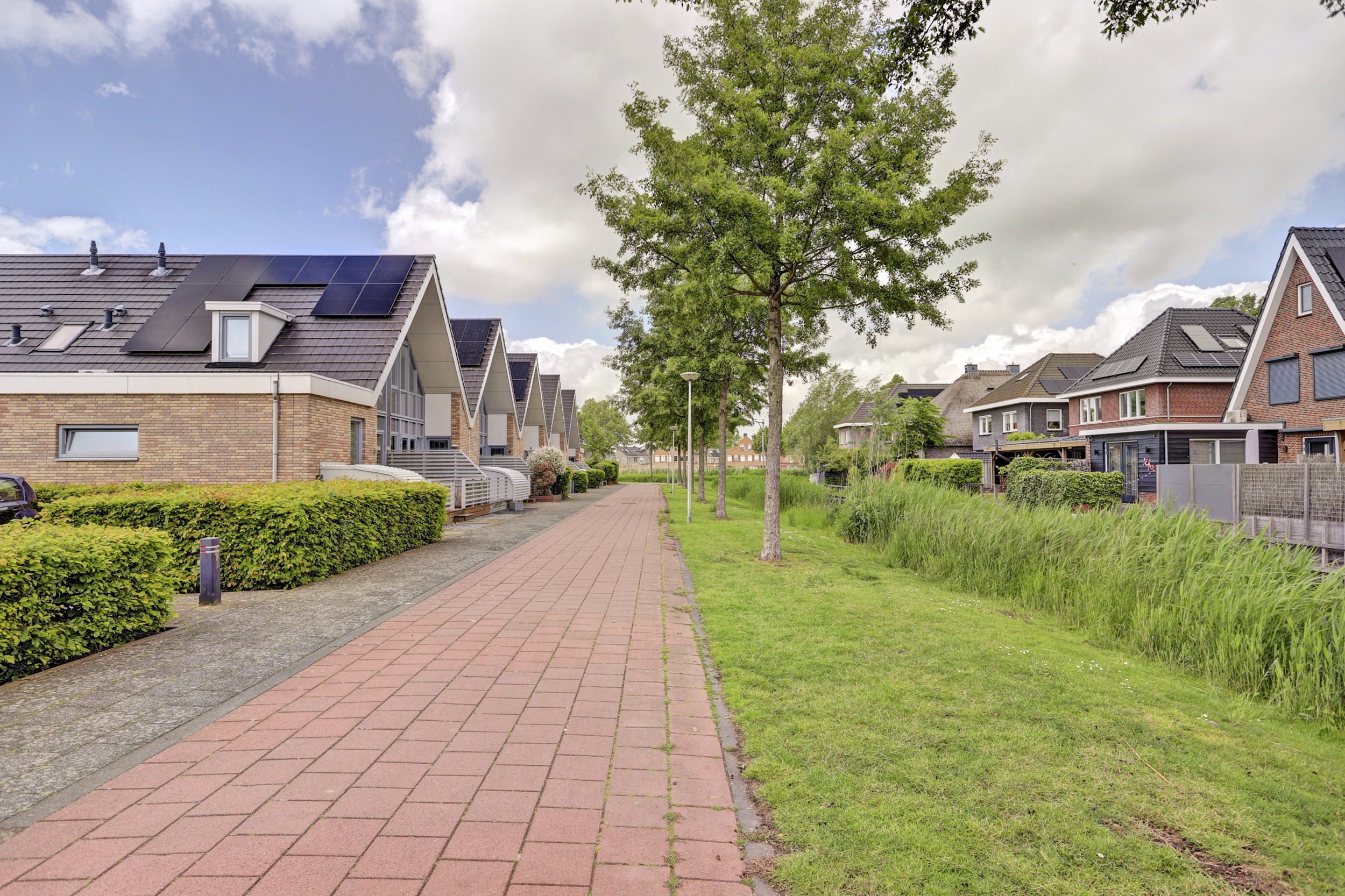 Droogleverstraat , afbeelding 25