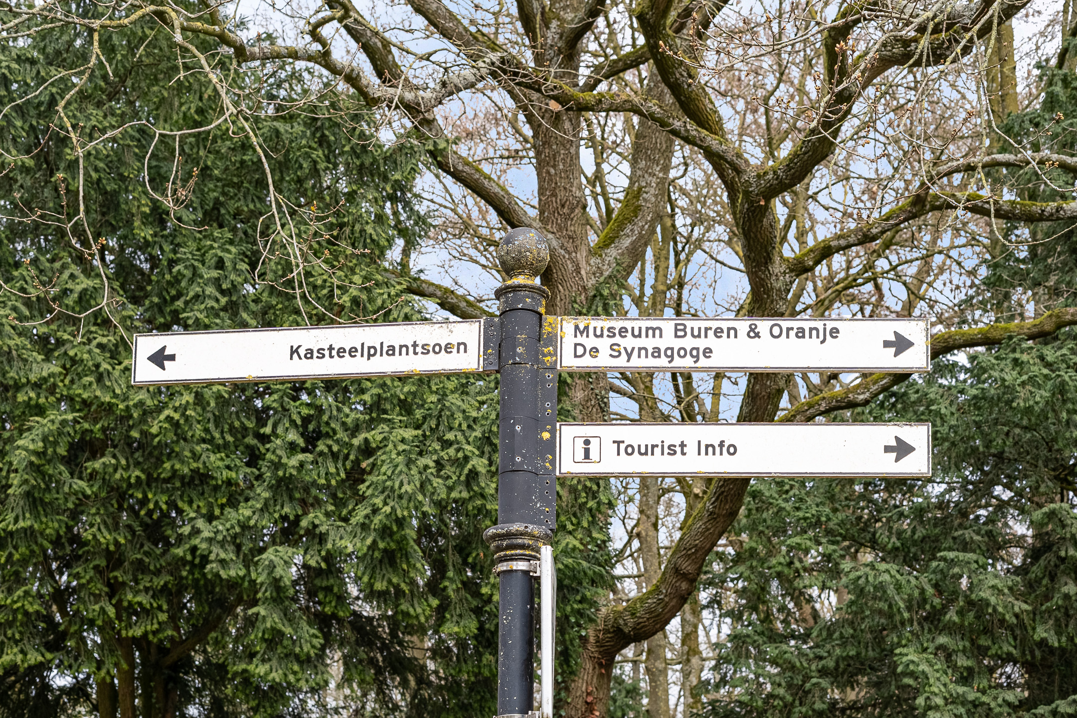 Onderdreef 1A, afbeelding 5