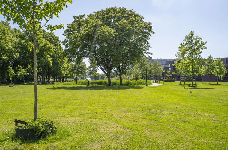Afbeelding 33