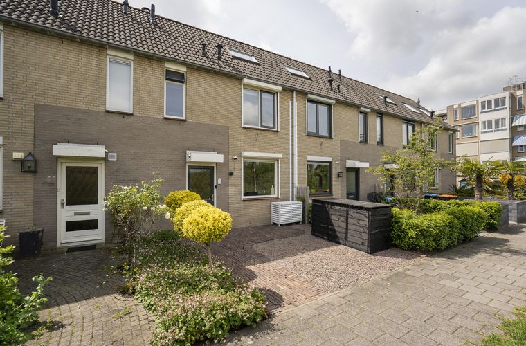 Afbeelding 41