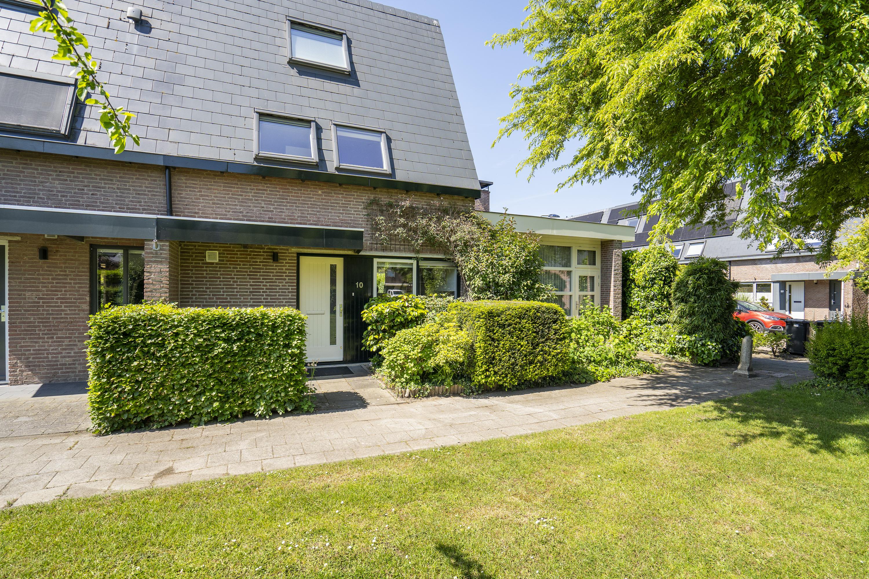 Moerbeiboom 10, afbeelding 4