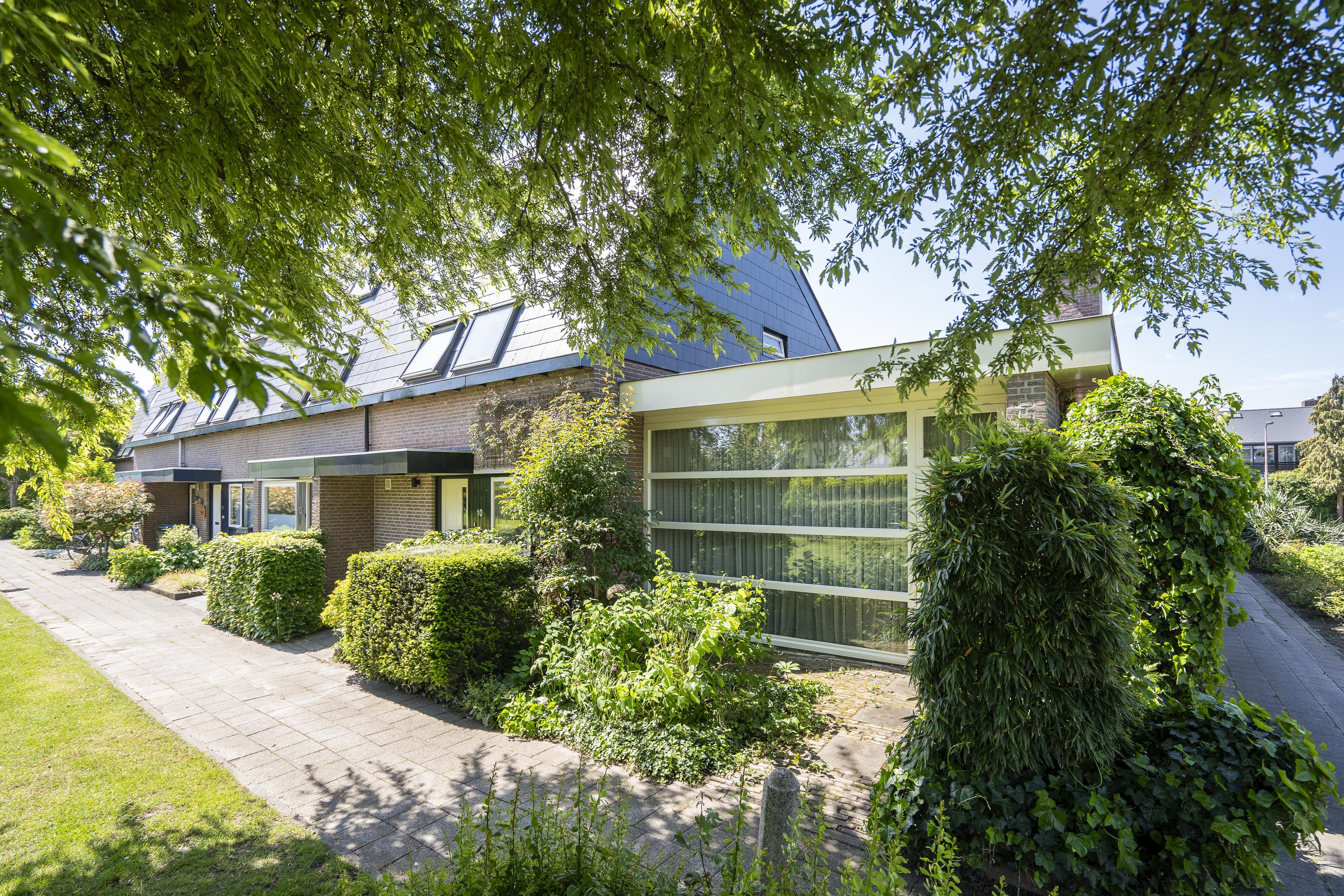 Moerbeiboom 10, afbeelding 5