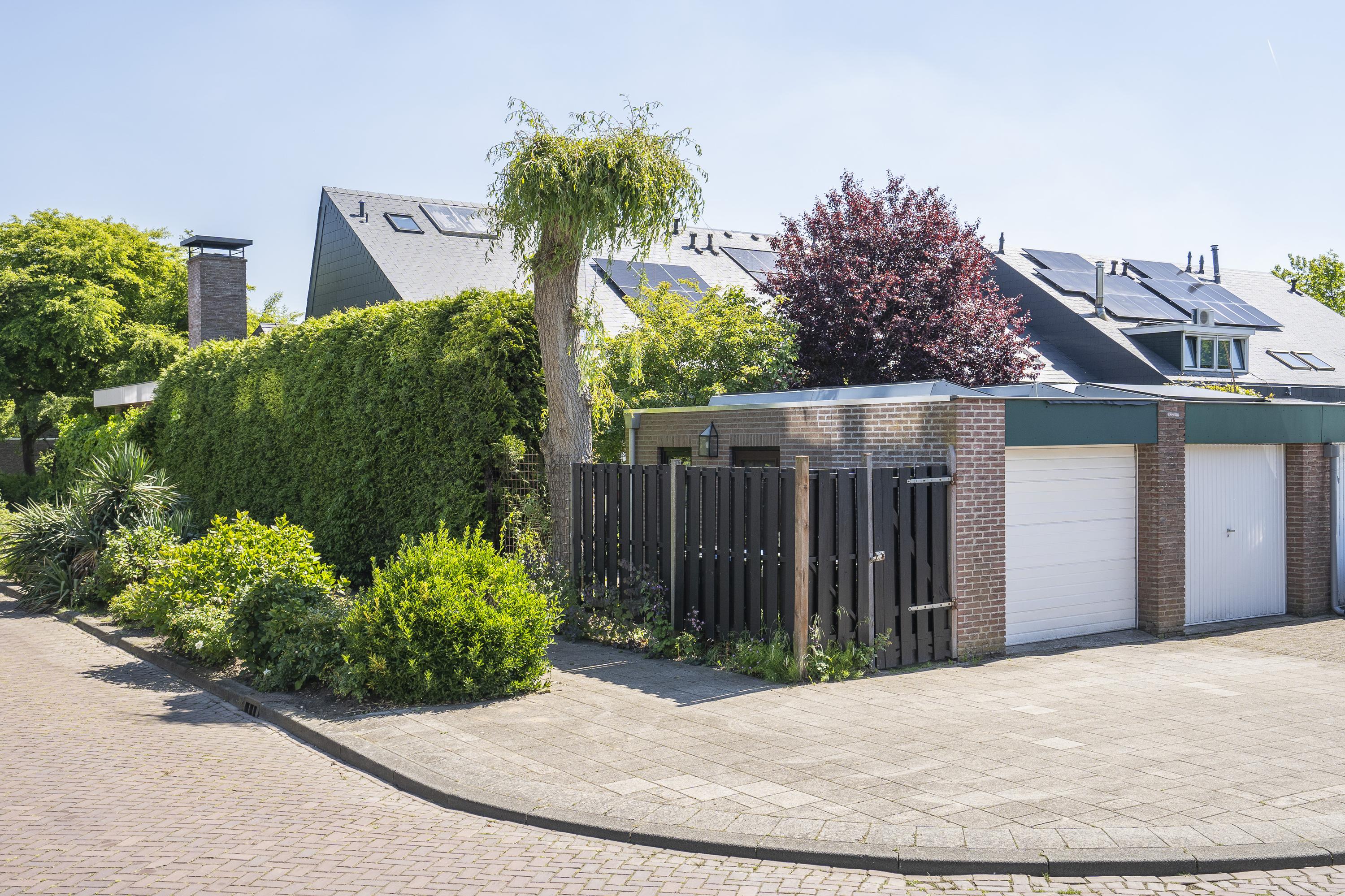 Moerbeiboom 10, afbeelding 42