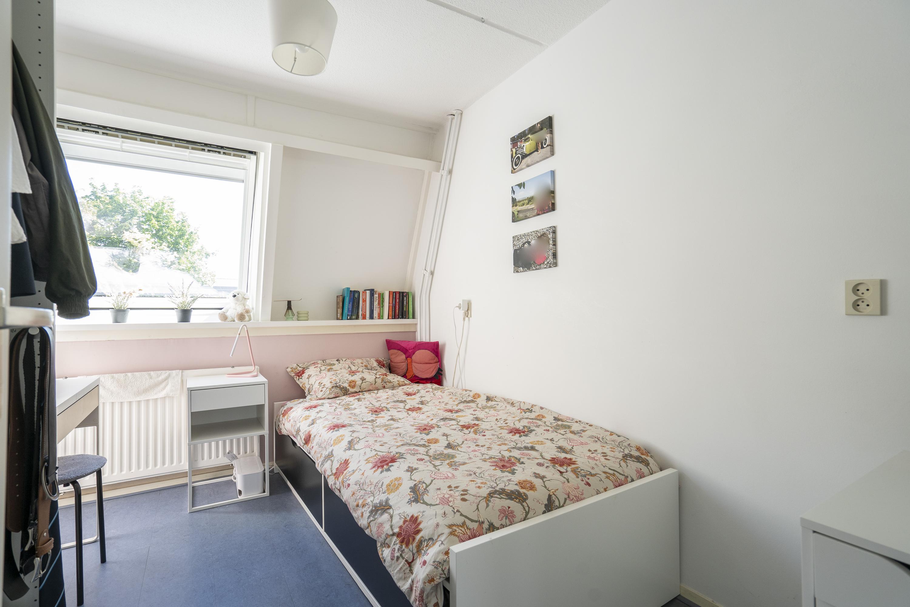 Moerbeiboom 10, afbeelding 30
