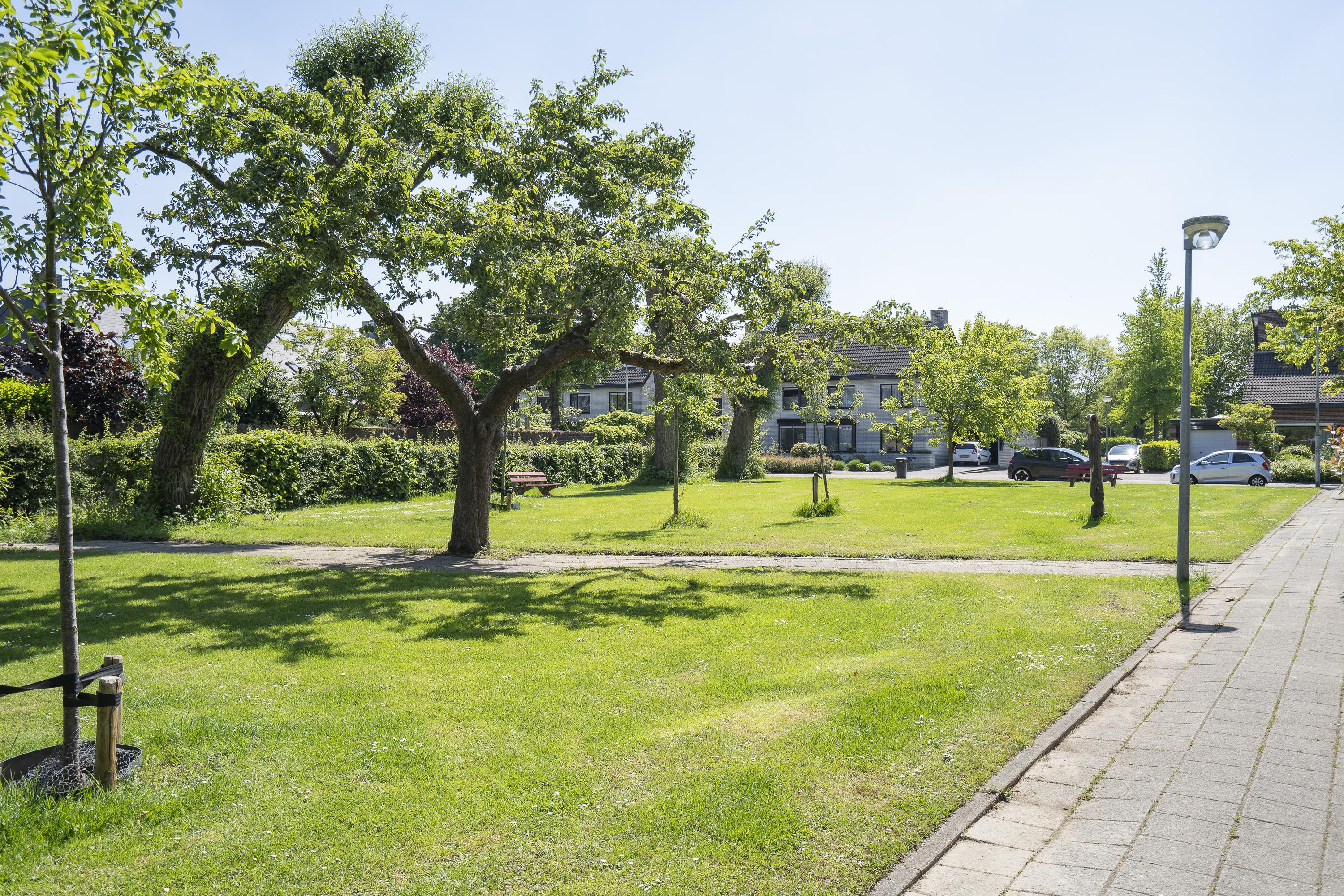 Moerbeiboom 10, afbeelding 45