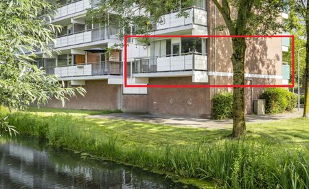 P.J.M. Aalbersestraat 24