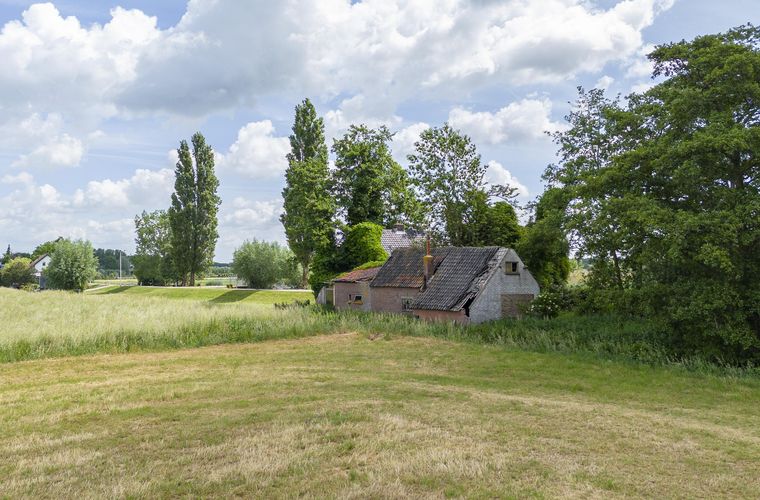 Afbeelding 18