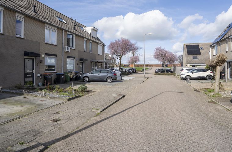 Afbeelding 30