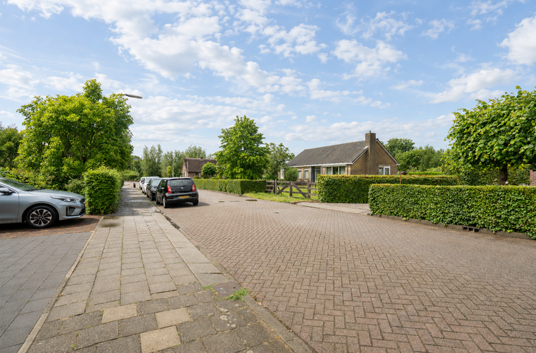 Afbeelding 49