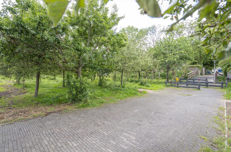 Afbeelding 21