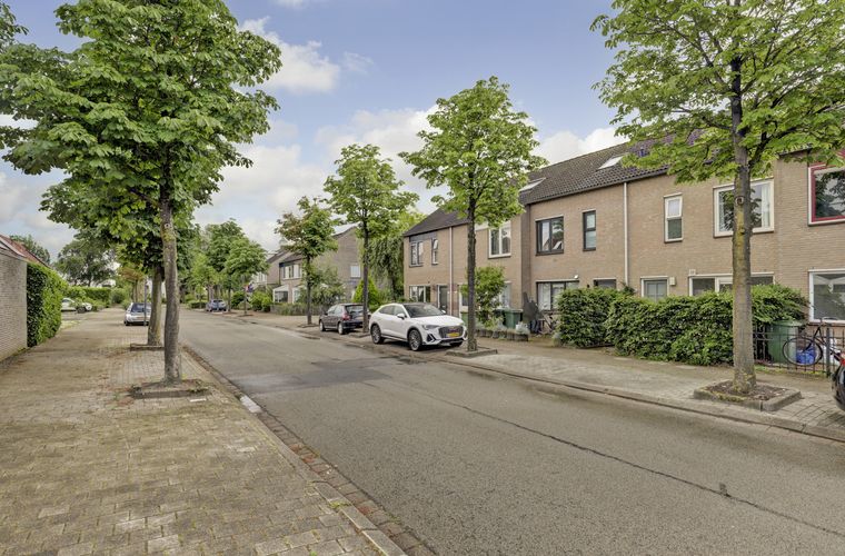 Afbeelding 42