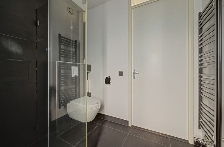 Afbeelding 30
