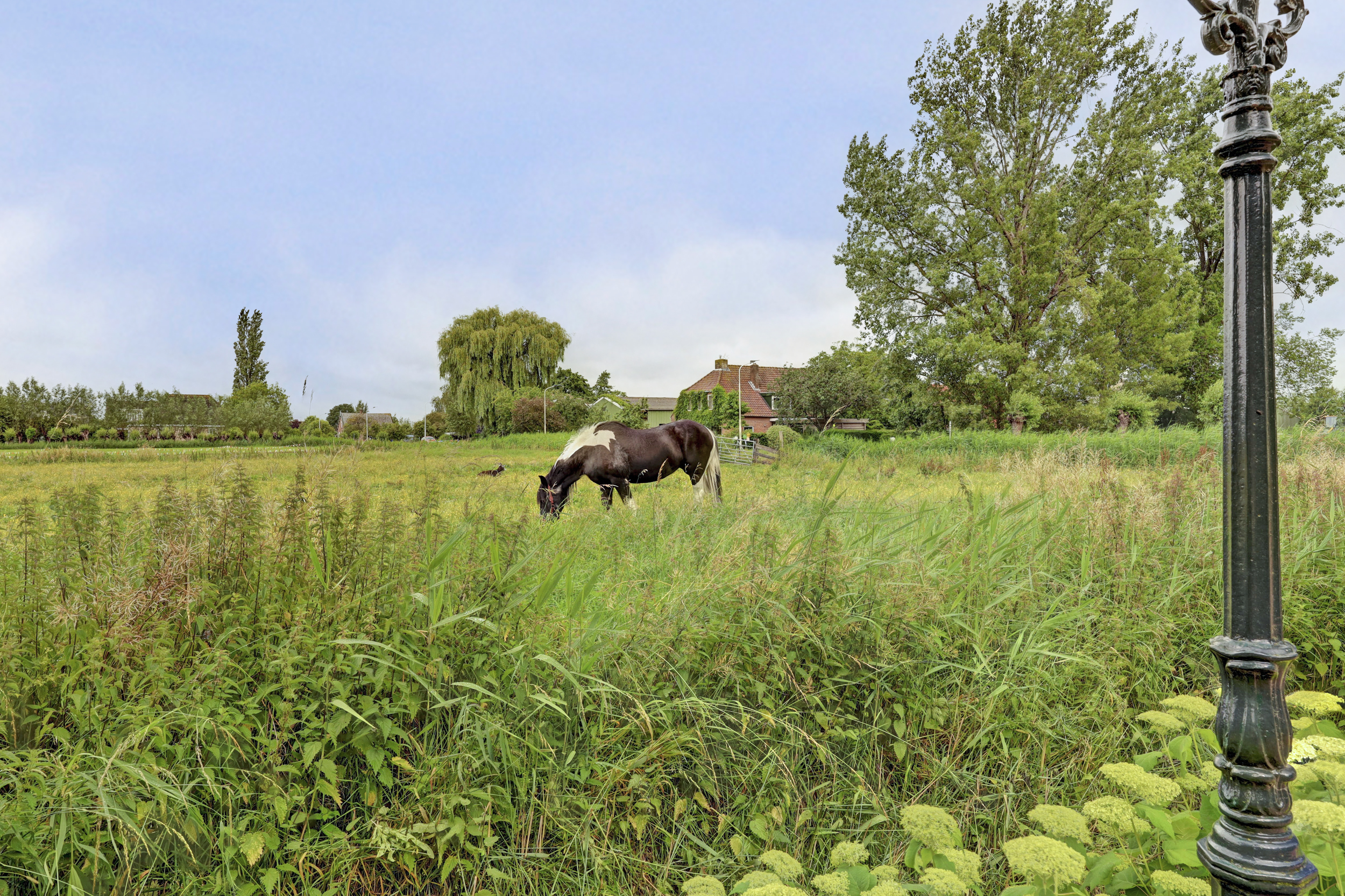 Haarweg 51, afbeelding 70