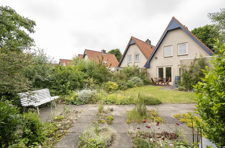 Afbeelding 31