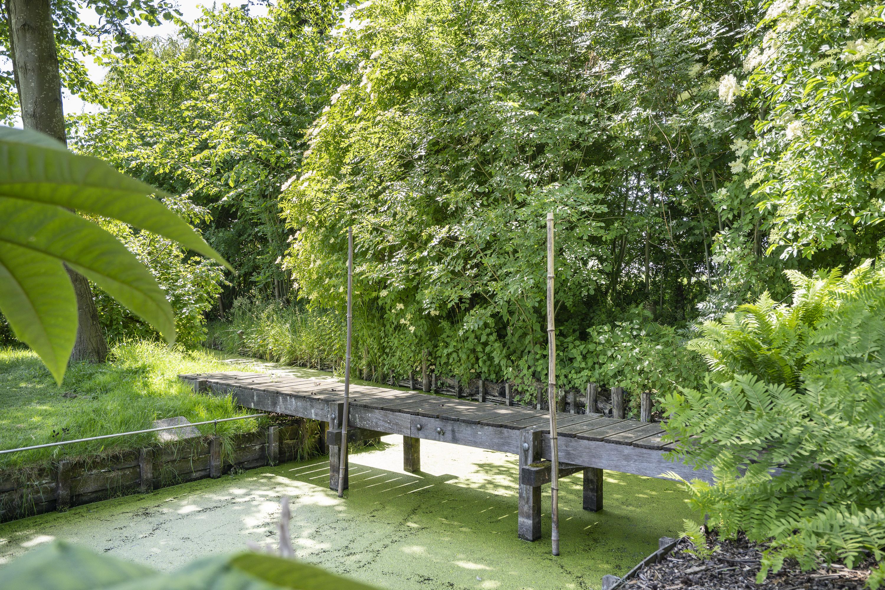 Diefdijk 7, afbeelding 77