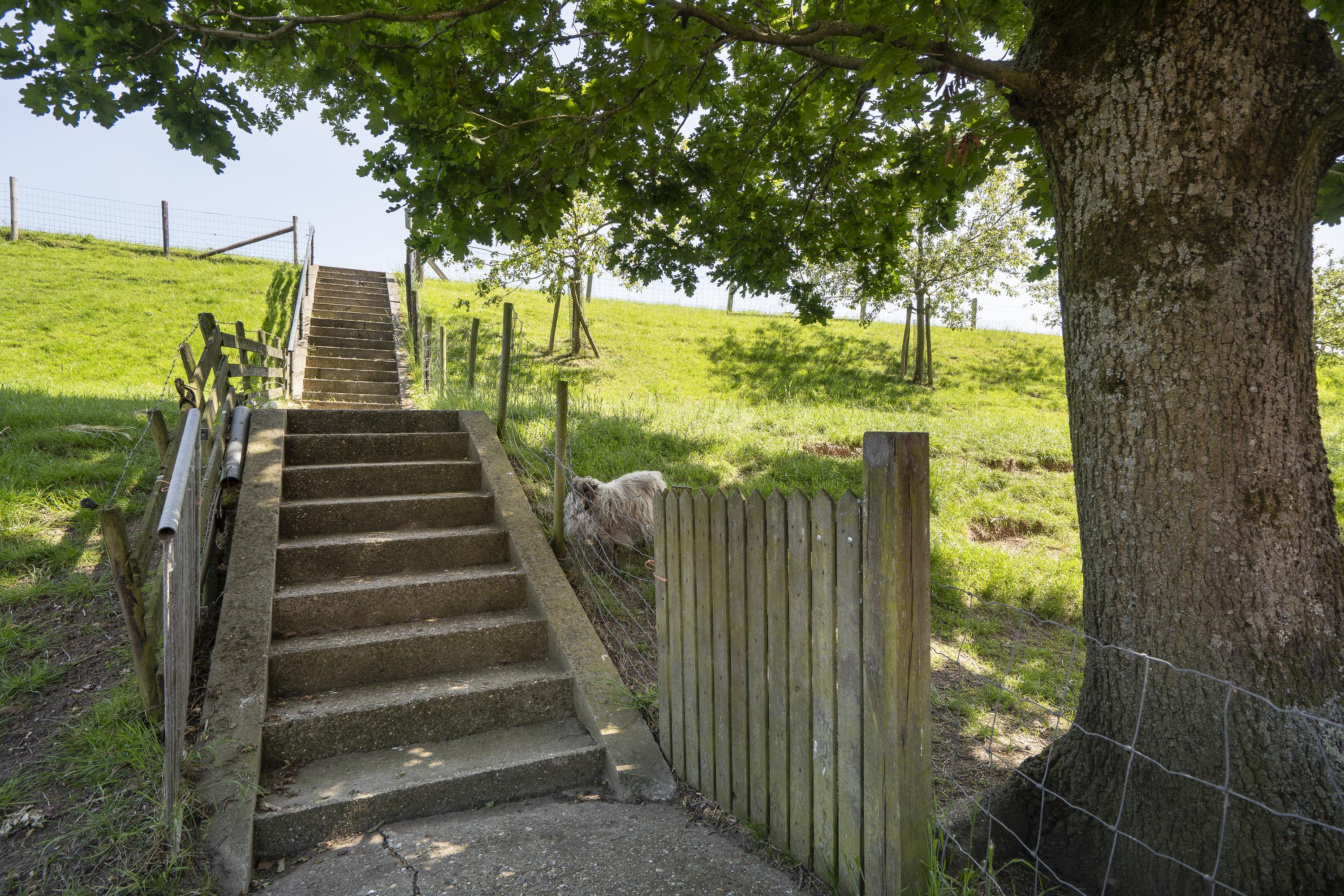 Diefdijk 7, afbeelding 9