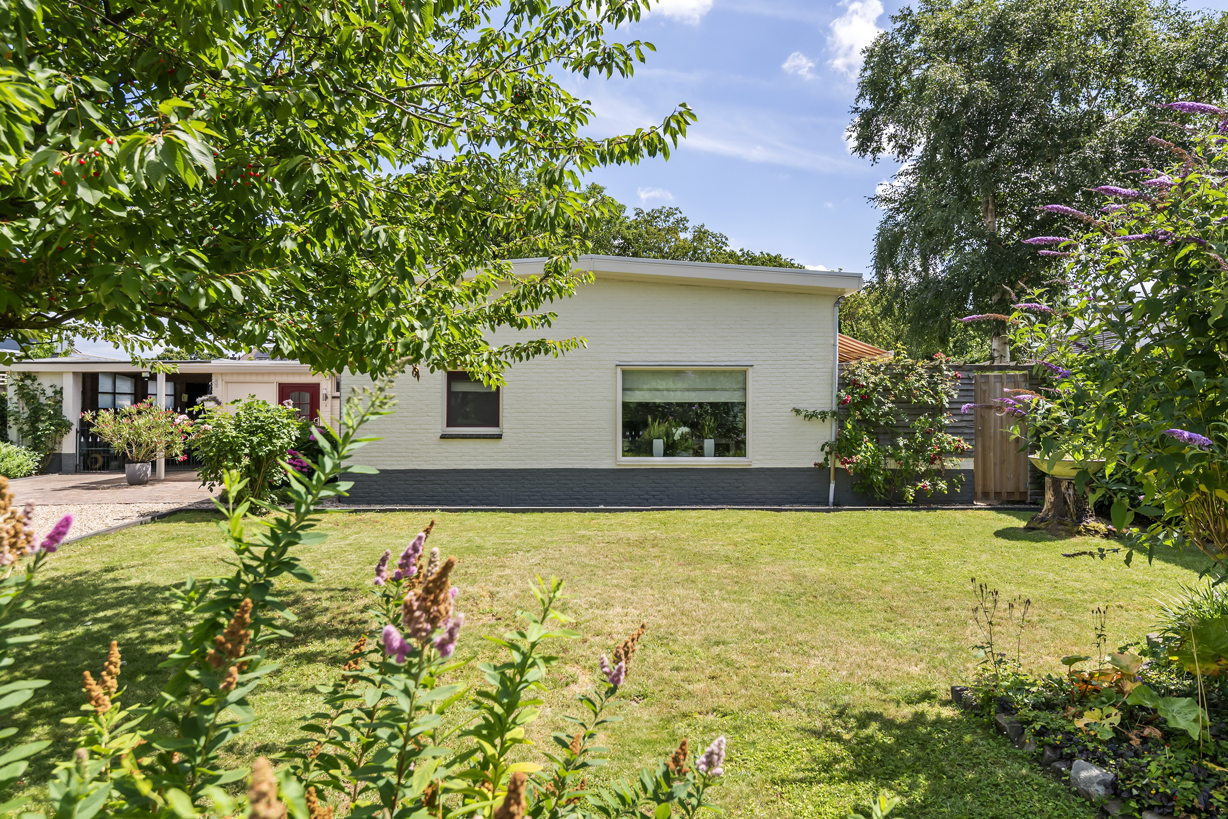 Dr. van der Willigenstraat 8, afbeelding 1