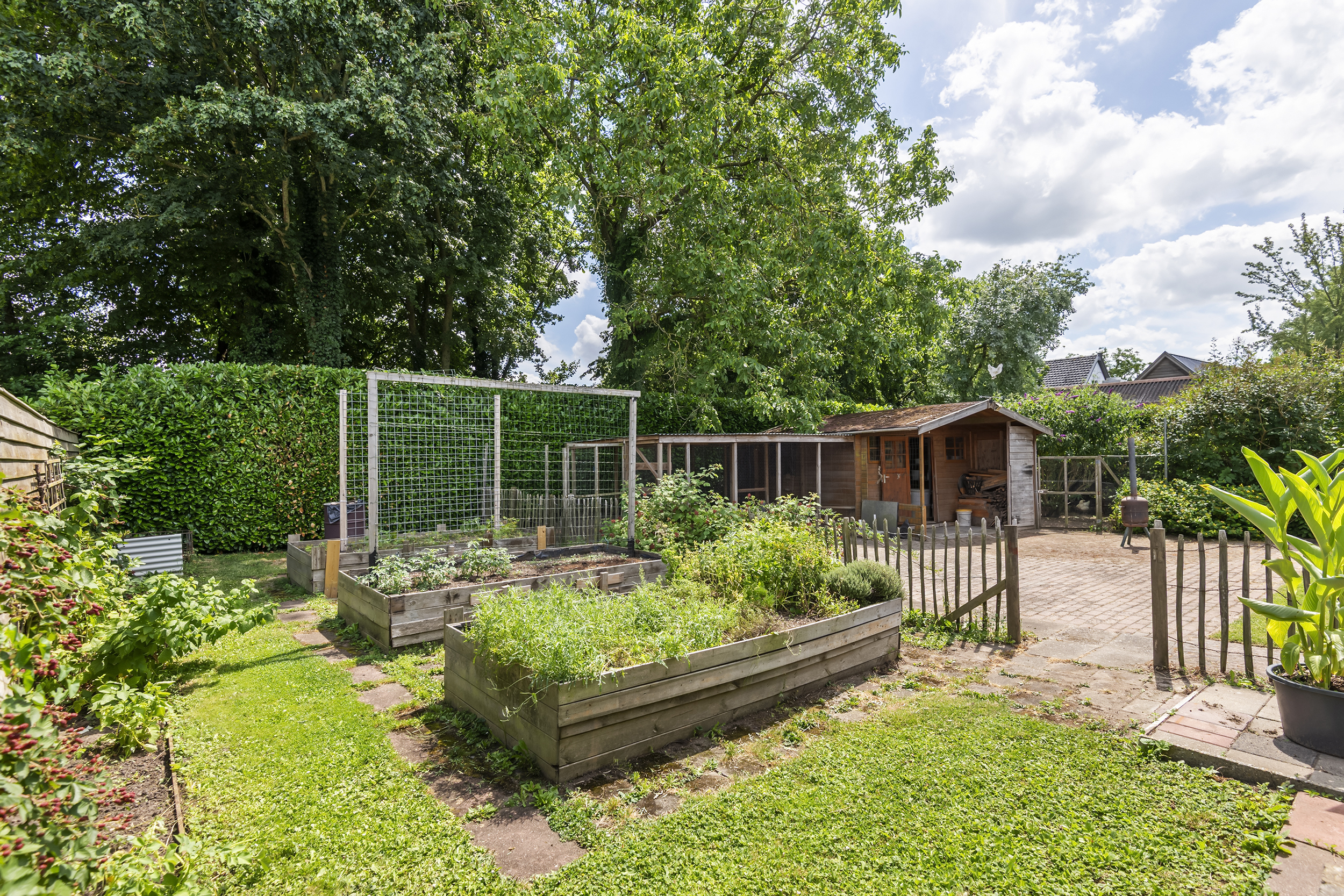 Dr. van der Willigenstraat 8, afbeelding 7