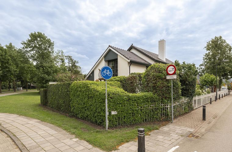 Afbeelding 37