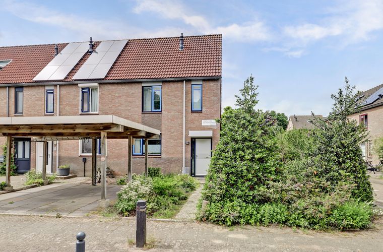Afbeelding 37