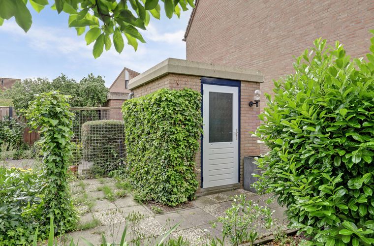 Afbeelding 17