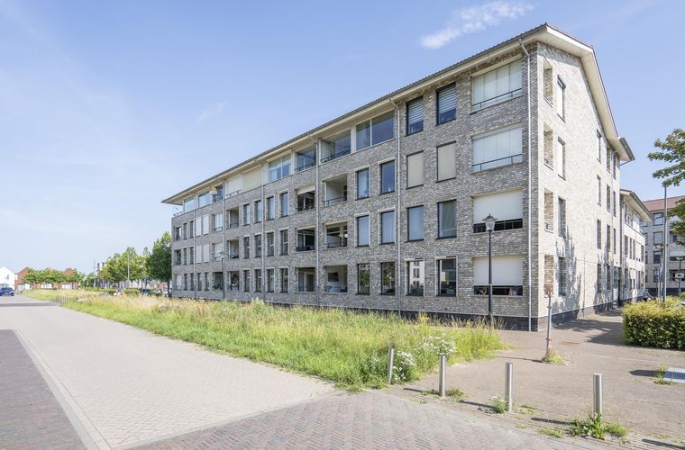 Afbeelding 31