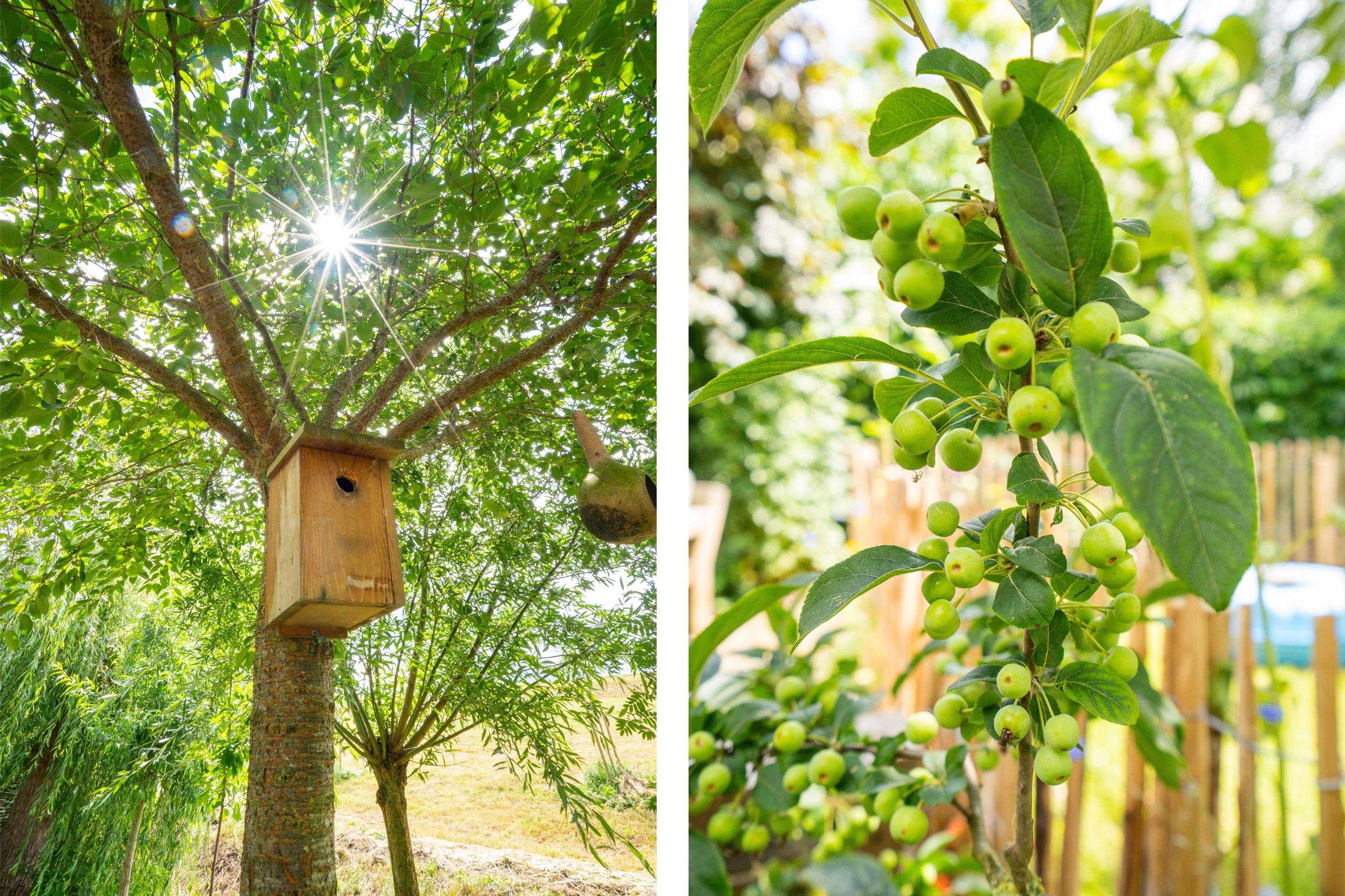 Waaldijk 10, afbeelding 61