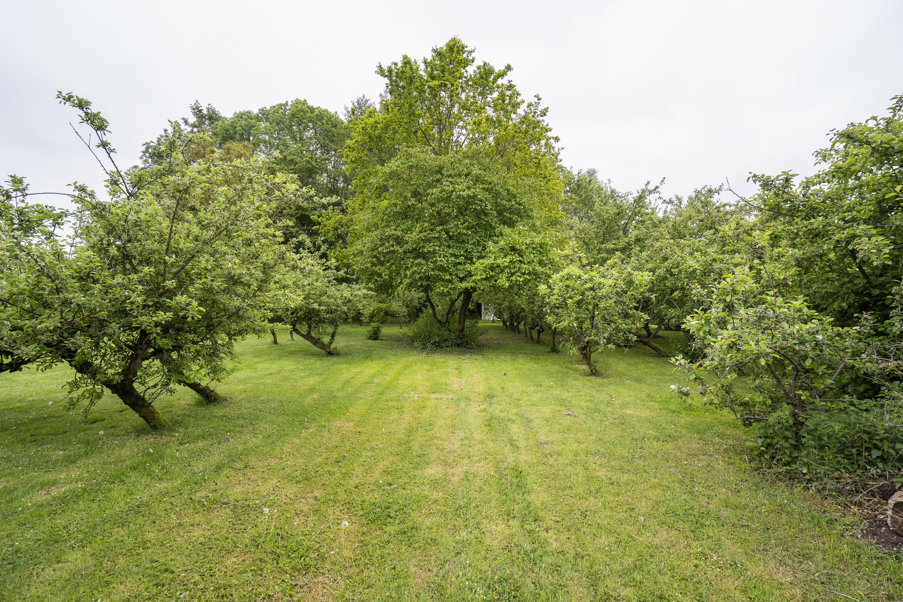 Benedeneindseweg 21, afbeelding 36