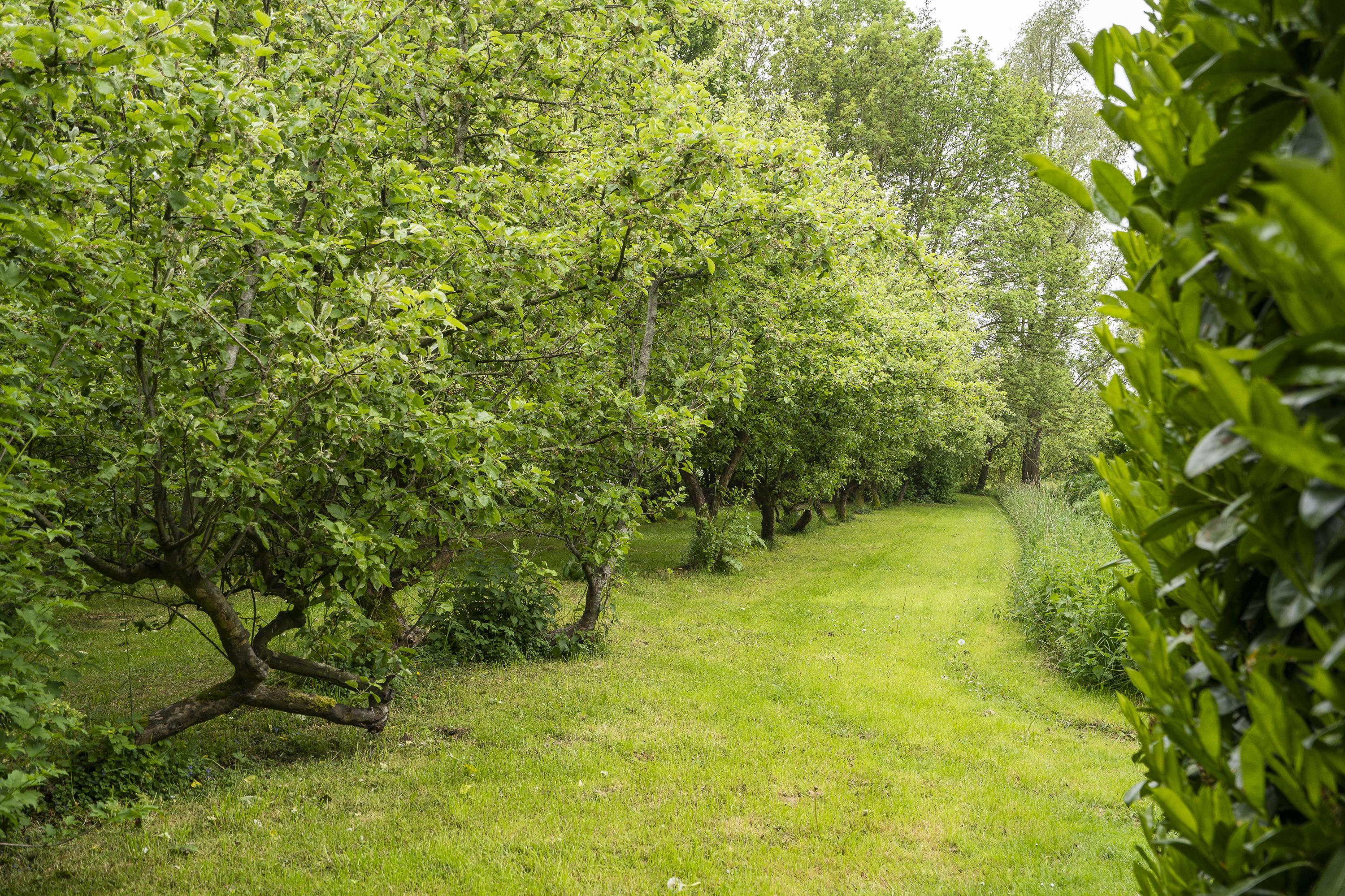 Benedeneindseweg 21, afbeelding 38