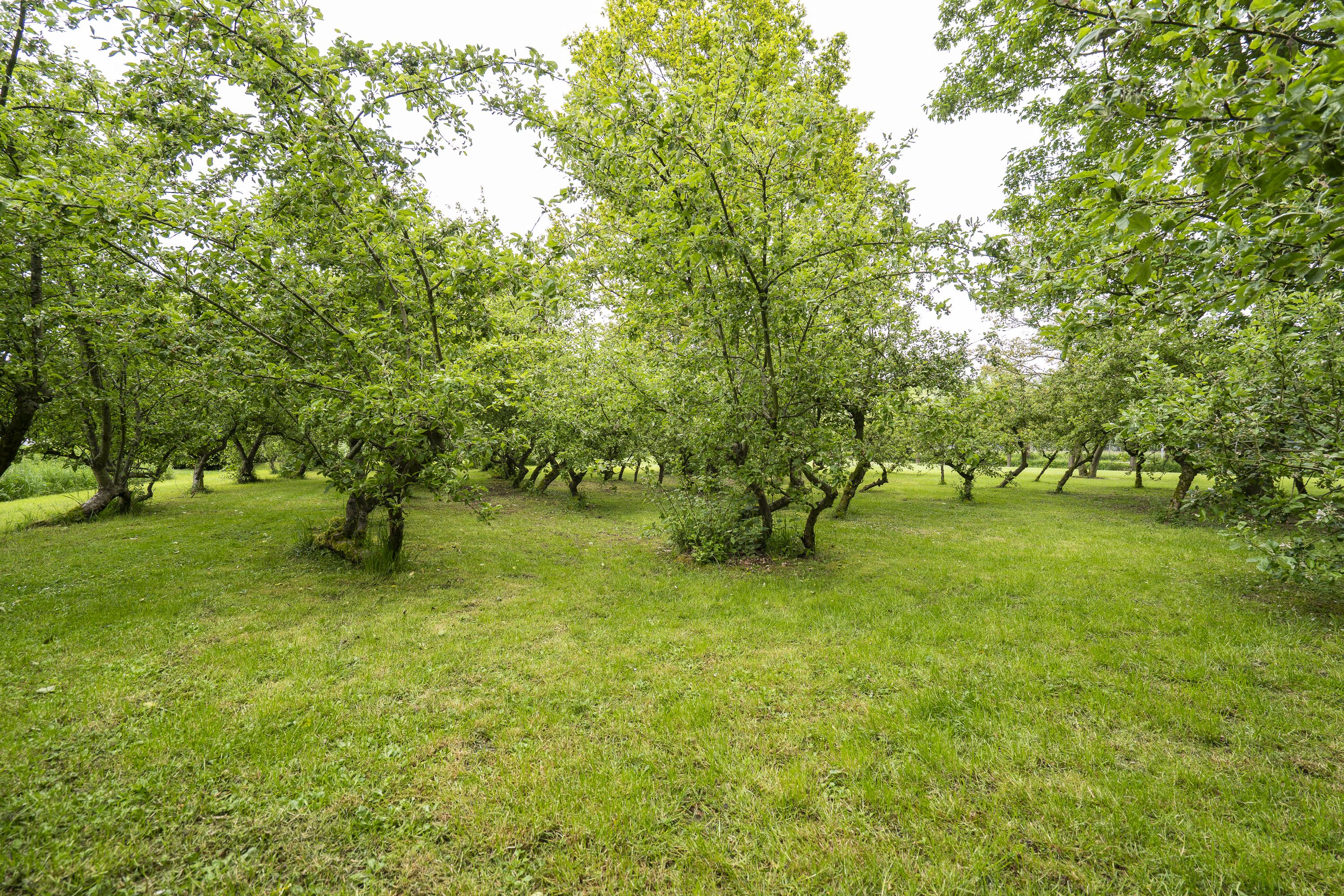 Benedeneindseweg 21, afbeelding 45