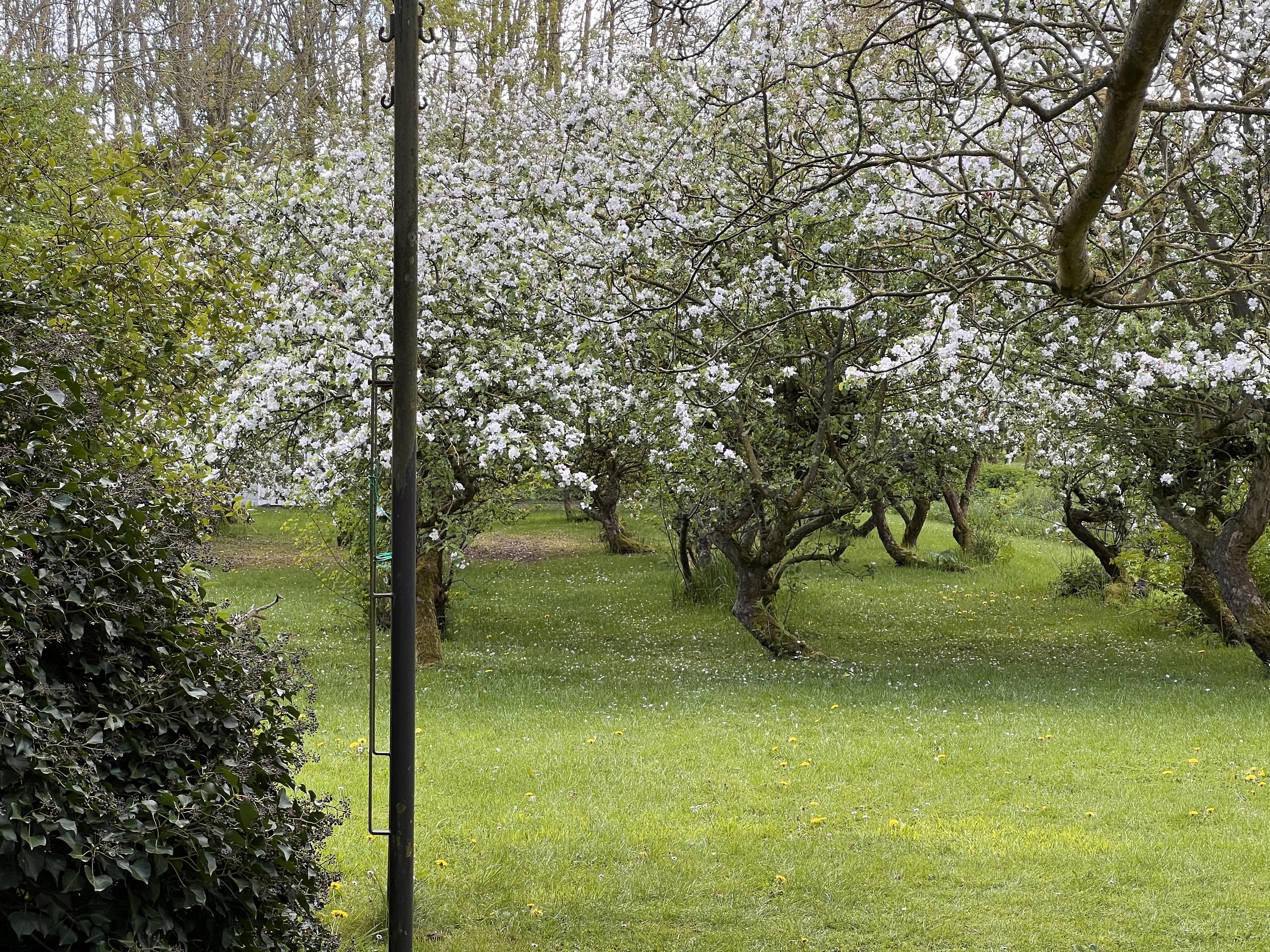 Benedeneindseweg 21, afbeelding 1