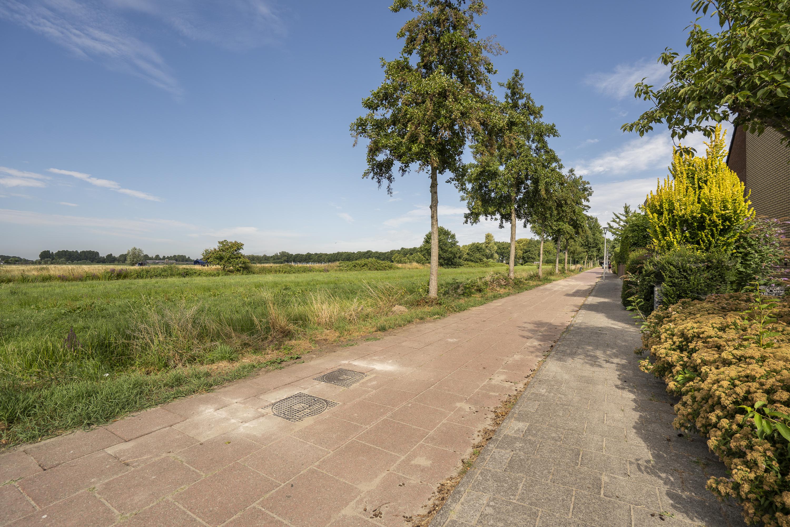 Palissade 108, afbeelding 51