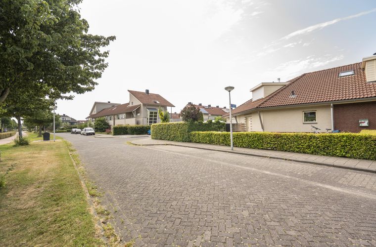 Afbeelding 38