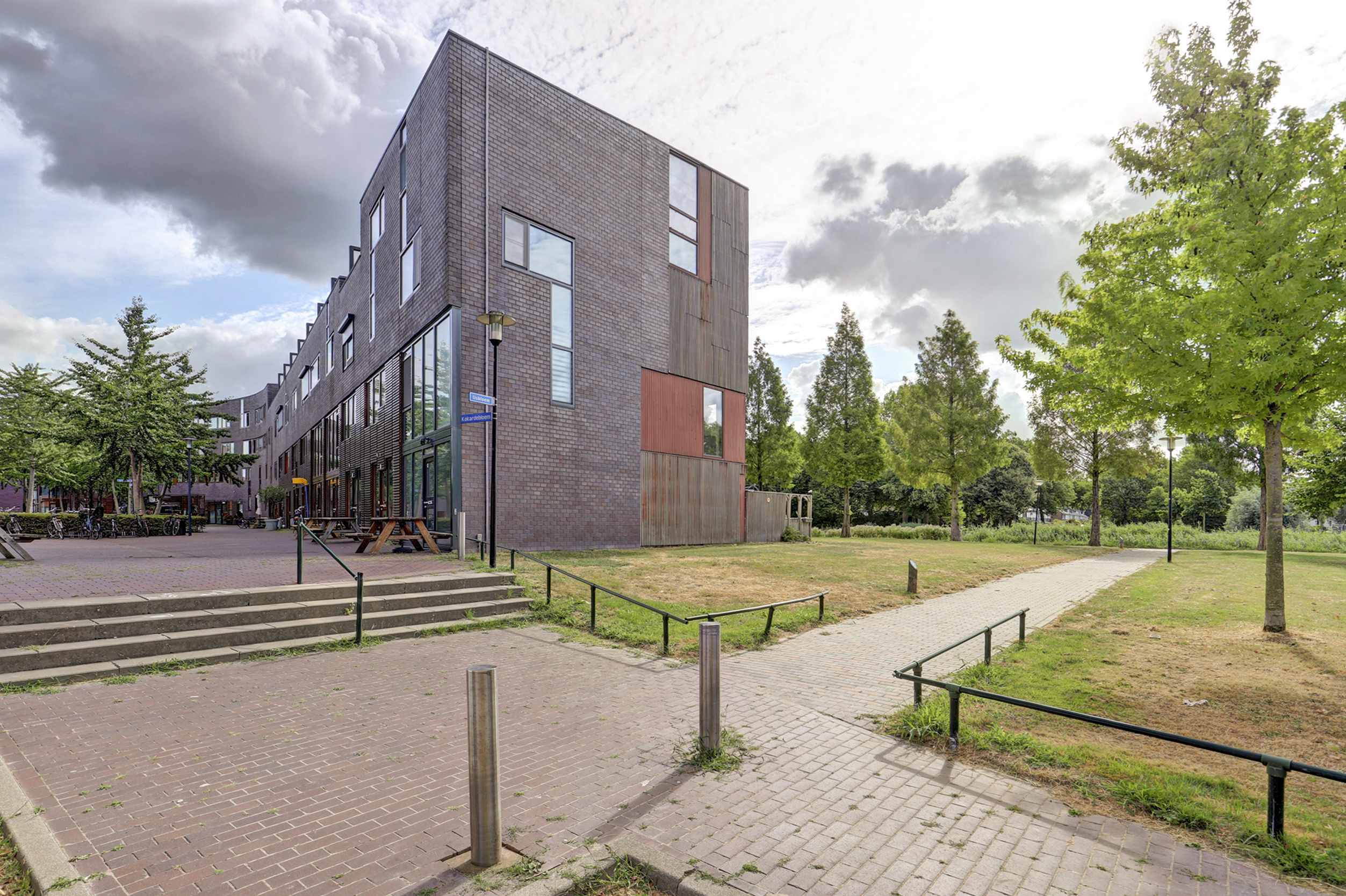 Kokardebloem 83, afbeelding 41