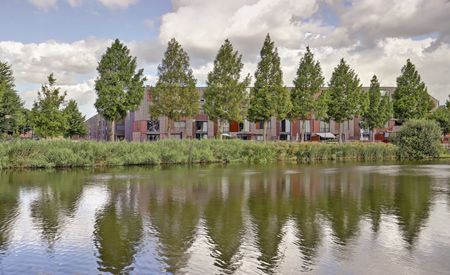 Kokardebloem 83