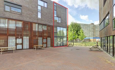 Kokardebloem 83