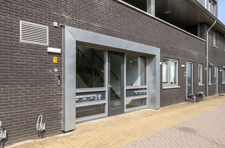 Afbeelding 42