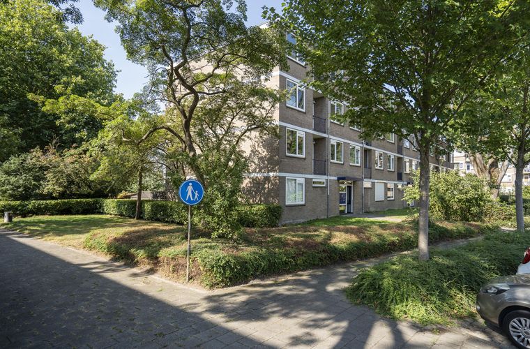 Afbeelding 22