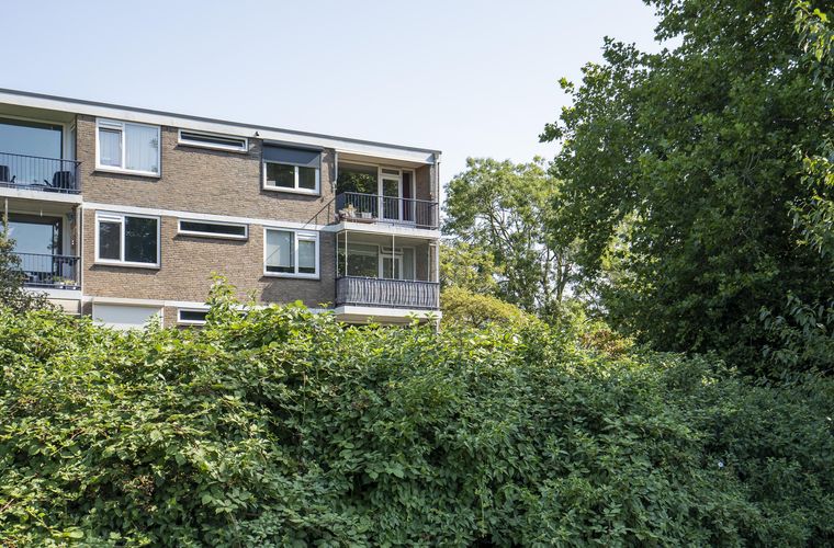 Afbeelding 21