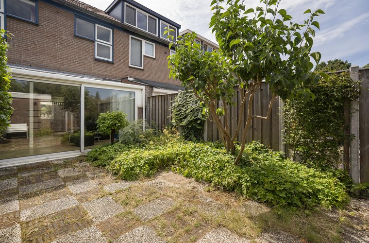 Afbeelding 39