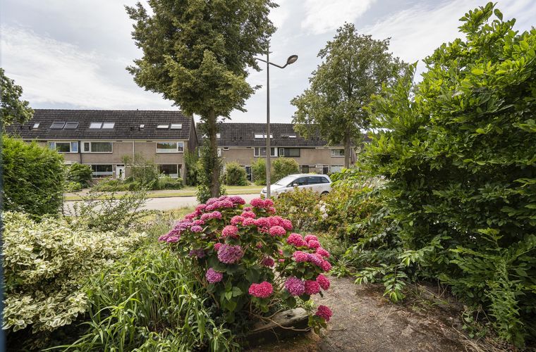 Afbeelding 45