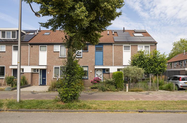 Afbeelding 43