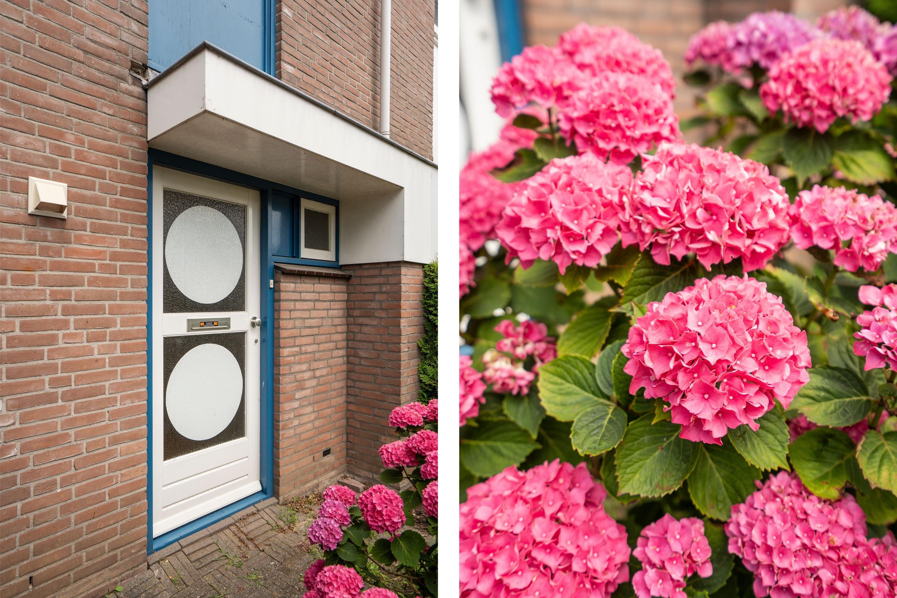 Linnaeuslaan 102, afbeelding 4