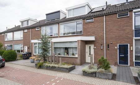 Oudaenstraat 7