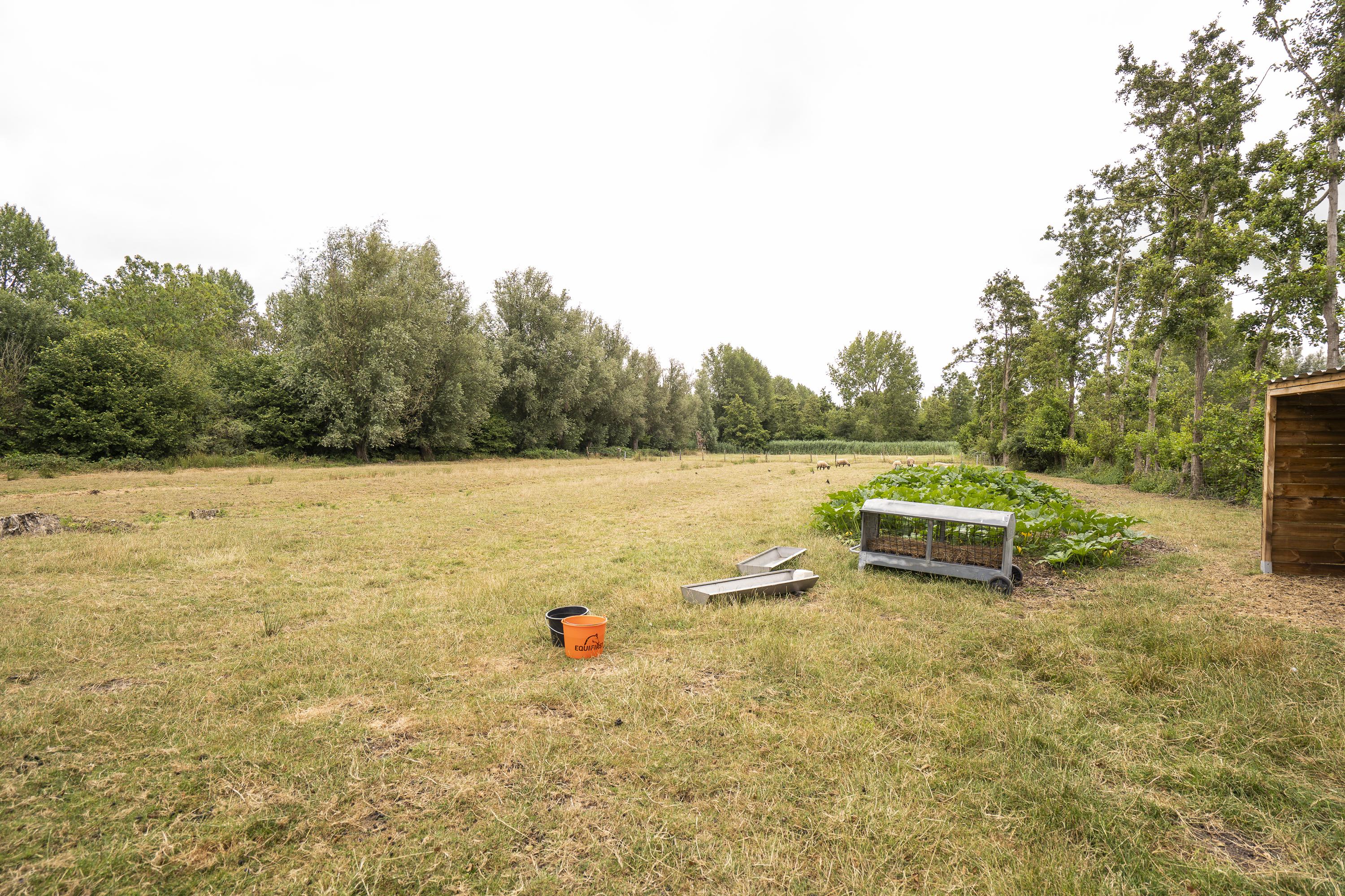 Koenderseweg 5, afbeelding 58