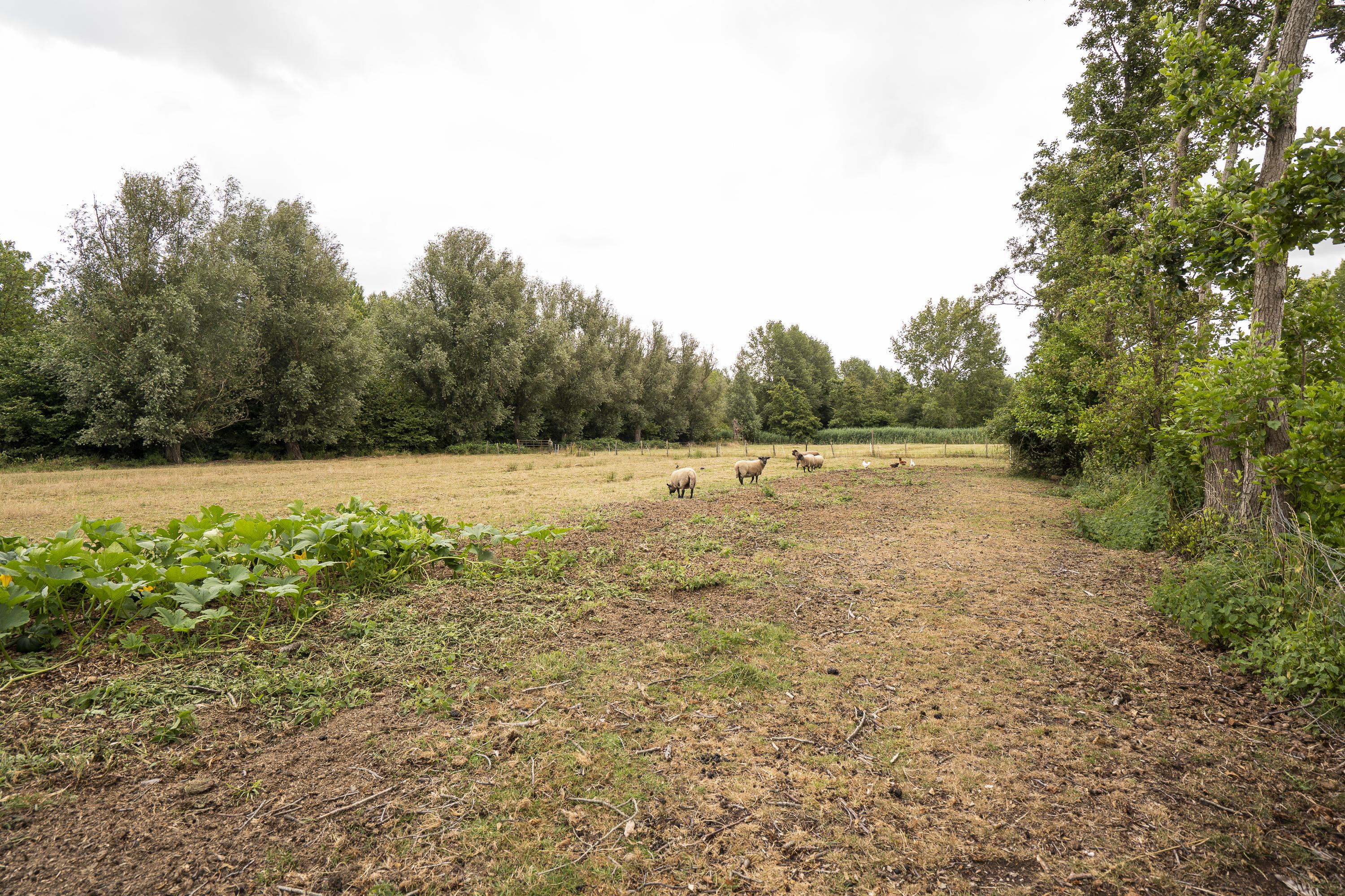 Koenderseweg 5, afbeelding 59