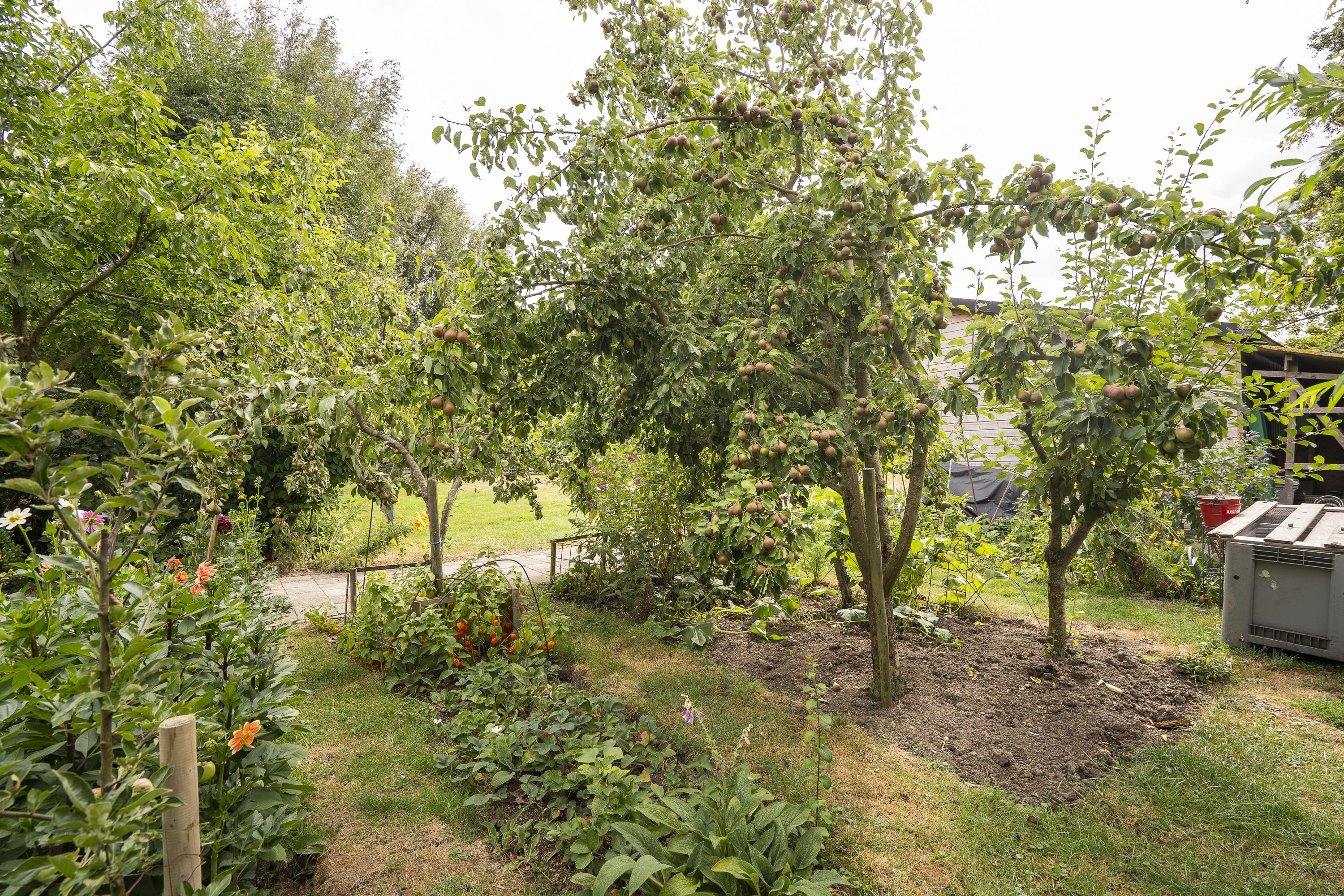 Koenderseweg 5, afbeelding 51